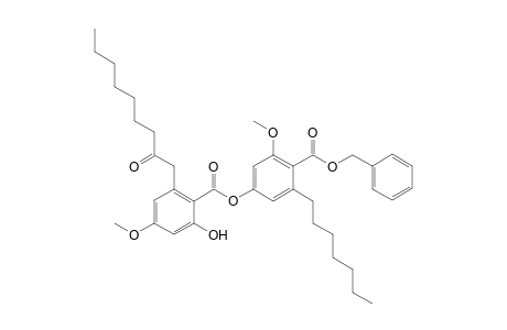 benzyl 6-heptyl-4-[2'-hydroxy-4'-methoxy-6'-(2''-oxononyl)benzoyloxy]-2-methoxybenzoate