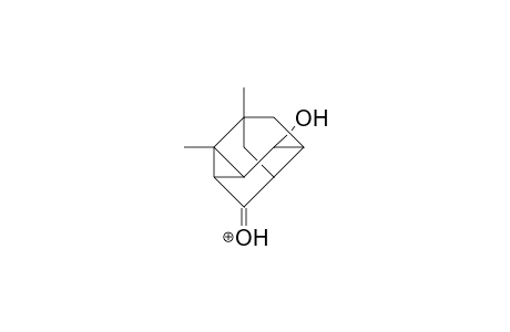 1,10-Dimethyl-tetracyclo(4.3.1.0/3,8/.0/6,10/)nona-4,7-diol cation