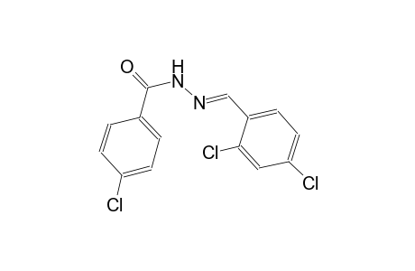 benzoic acid, 4-chloro-, 2-[(E)-(2,4-dichlorophenyl)methylidene]hydrazide