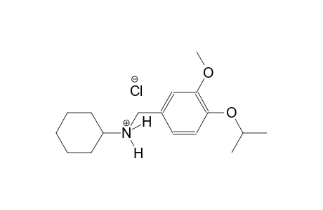 N-(4-isopropoxy-3-methoxybenzyl)cyclohexanaminium chloride