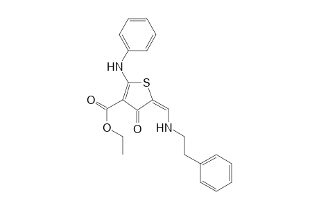 (5E)-2-anilino-4-keto-5-[(phenethylamino)methylene]thiophene-3-carboxylic acid ethyl ester