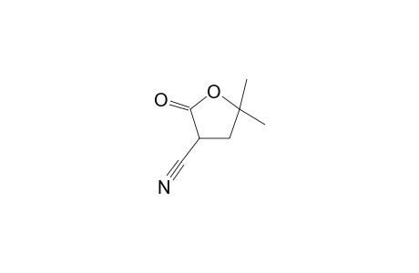 2-keto-5,5-dimethyl-tetrahydrofuran-3-carbonitrile