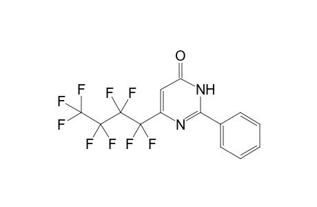 6-(1,1,2,2,3,3,4,4,4-nonafluorobutyl)-2-phenyl-1H-pyrimidin-4-one