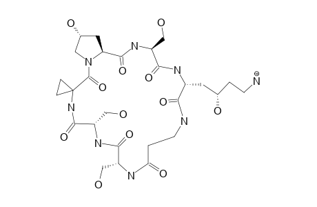 SERINOCYCLIN_A;CYCLO-(ACC-HYP-SER-1-HYLYS-BETA-ALA-SER-2-SER-3)