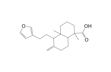 1-Naphthalenecarboxylic acid, 5-[2-(3-furanyl)ethyl]decahydro-1,4a-dimethyl-6-methylene-, [1R-(1.alpha.,4a.alpha.,5.alpha.,8a.beta.)]-