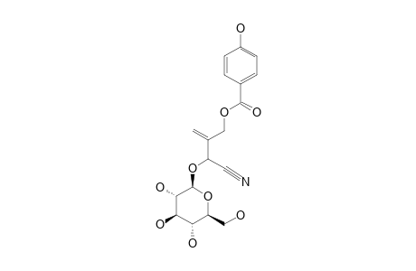 CARDIOSPERMIN-5-(4-HYDROXY)-BENZOATE
