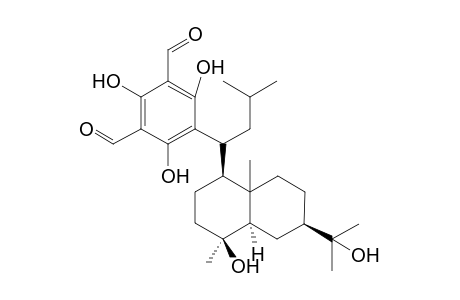 Macrocarpal J