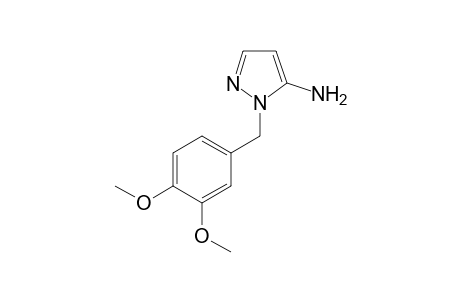1H-Pyrazol-5-amine, 1-[(3,4-dimethoxyphenyl)methyl]-
