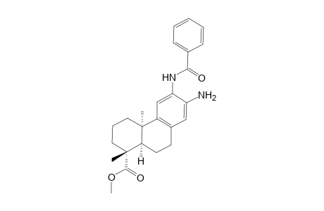 Methyl (1R,4aR,10aR)-1,4a-dimethyl-7-amino-1,2,3,4,4a.9,10,10a-octahydro-6-benzamidophenanthrene-1-carboxylate