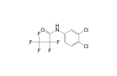 N-pentafluoropropionyl 3,4-dichloroaniline