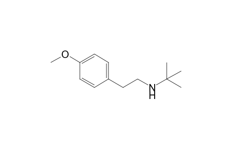 N-[2-(4-methoxyphenyl)ethyl]-2-methyl-2-propanamine