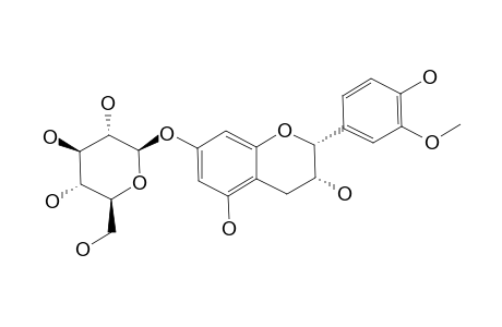 3'-O-METHYL-EPICATECHIN-7-O-BETA-D-GLUCOPYRANOSIDE