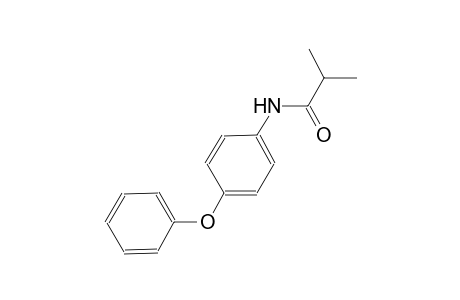 2-methyl-N-(4-phenoxyphenyl)propanamide