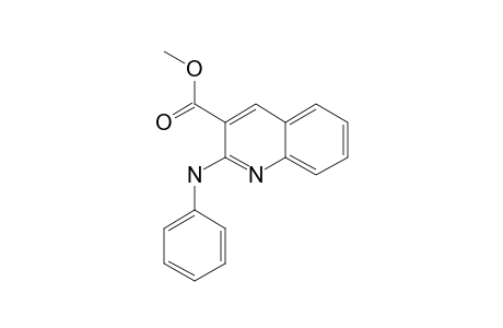 3-(METHOXYCARBONYL)-2-PHENYLAMINO-QUINOLINE