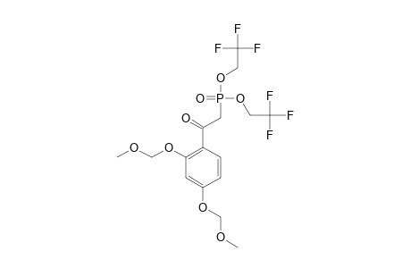 BIS-(2,2,2-TRIFLUOROETHYL)-2-[2,4-BIS-(METHOXYMETHOXY)-PHENYL]-2-OXOETHYL-PHOSPHONATE