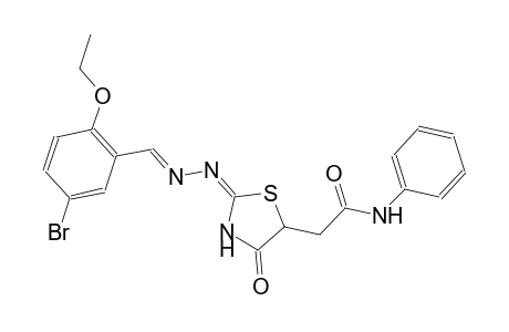 2-{(2E)-2-[(2E)-2-(5-bromo-2-ethoxybenzylidene)hydrazono]-4-oxo-1,3-thiazolidin-5-yl}-N-phenylacetamide