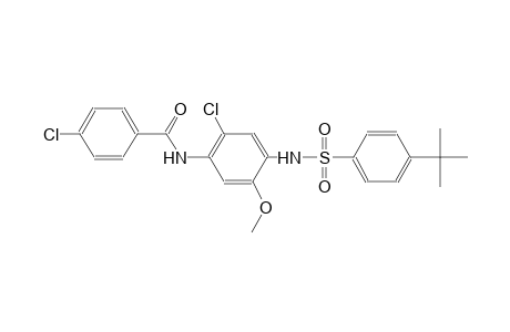 N-(4-{[(4-tert-butylphenyl)sulfonyl]amino}-2-chloro-5-methoxyphenyl)-4-chlorobenzamide