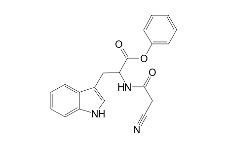 Phenyl 2-(2-cyanoacetamido)-3-(1H-indol-3-yl)propanoate