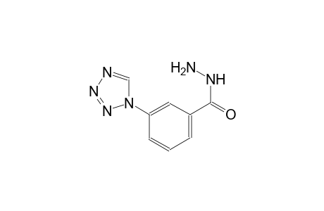 Benzoic acid, 3-(1H-1,2,3,4-tetrazol-1-yl)-, hydrazide