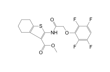 methyl 2-{[(2,3,5,6-tetrafluorophenoxy)acetyl]amino}-4,5,6,7-tetrahydro-1-benzothiophene-3-carboxylate