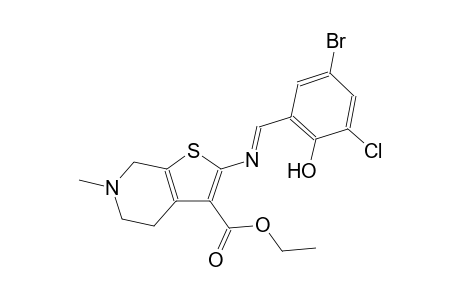 ethyl 2-{[(E)-(5-bromo-3-chloro-2-hydroxyphenyl)methylidene]amino}-6-methyl-4,5,6,7-tetrahydrothieno[2,3-c]pyridine-3-carboxylate