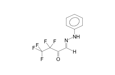 PERFLUOROETHYLGLYOXAL, MONOPHENYLHYDRAZONE