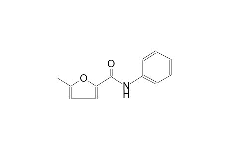5-Methyl-N-phenylfuran-2-carboxamide