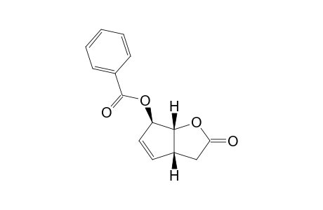 (1R,5R,8R)-8-BENZOYLOXY-2-OXABICYCLO-[3.3.0]-OCT-6-EN-3-ONE