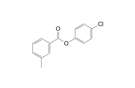 m-Toluic acid, 4-chlorophenyl ester