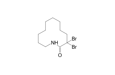 3,3-dibromoazacyclododecane-2-one