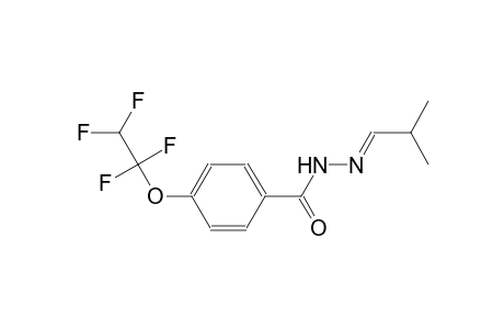 N'-[(E)-2-methylpropylidene]-4-(1,1,2,2-tetrafluoroethoxy)benzohydrazide