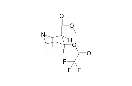 Ecgoninemethylester TFA