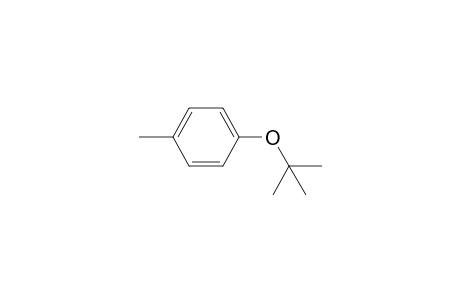 1-methyl-4-[(2-methylpropan-2-yl)oxy]benzene