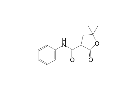 5,5-dimethyl-2-oxo-2,3,4,5-tetrahydro-3-furanilide