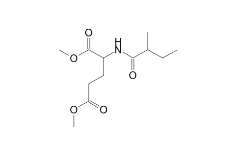 2-(2-Methylbutanoylamino)glutaric acid dimethyl ester