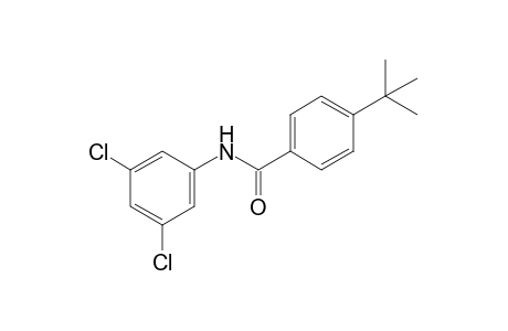 4-tert-butyl-3',5'-dichlorobenzanilide