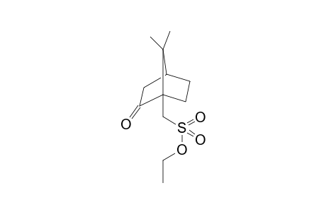 Ethyl camphorsulfonates