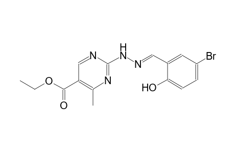 5-pyrimidinecarboxylic acid, 2-[(2E)-2-[(5-bromo-2-hydroxyphenyl)methylene]hydrazino]-4-methyl-, ethyl ester