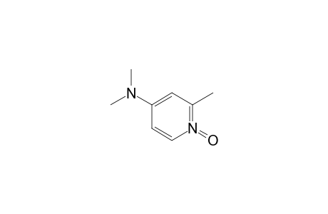 dimethyl-(2-methyl-1-oxido-pyridin-1-ium-4-yl)amine
