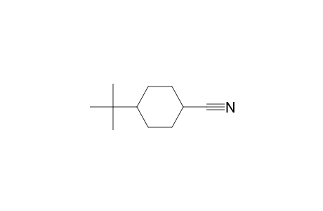 4-tert-butylcyclohexanecarbonitrile