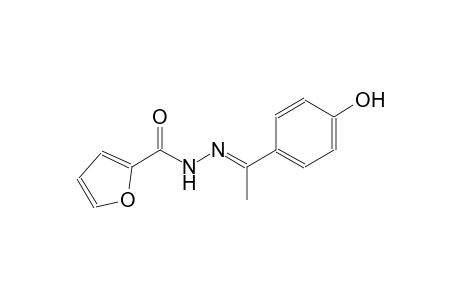 2-furancarboxylic acid, 2-[(E)-1-(4-hydroxyphenyl)ethylidene]hydrazide
