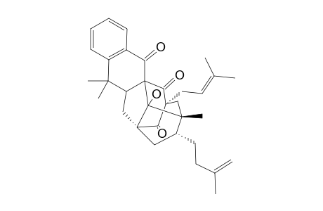 DOITUNGGARCINONE_A