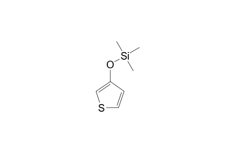 3-[(Trimethylsilyl)oxy]thiophene