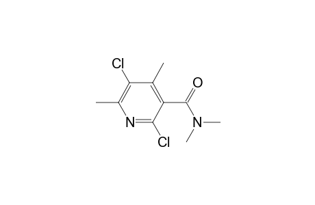 Pyridine-3-carboxamide, 2,5-dichloro-4,6,N,N-tetramethyl-