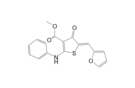 methyl (5Z)-2-anilino-5-(2-furylmethylene)-4-oxo-4,5-dihydro-3-thiophenecarboxylate