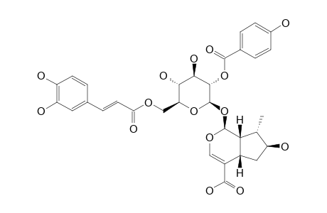 2'-O-PARA-HYDROXYBENZOYL-6'-O-TRANS-CAFFEOYL-8-EPILOGANIC-ACID