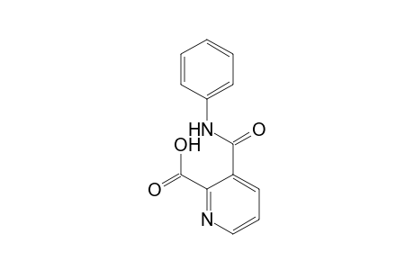 Picolinic acid, 3-(phenylcarbamoyl)-