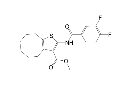 methyl 2-[(3,4-difluorobenzoyl)amino]-4,5,6,7,8,9-hexahydrocycloocta[b]thiophene-3-carboxylate