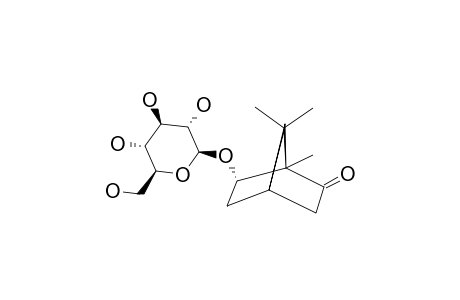 (1S,4S,6S)-6-HYDROXYCAMPHOR-BETA-D-GLUCOPYRANOSIDE
