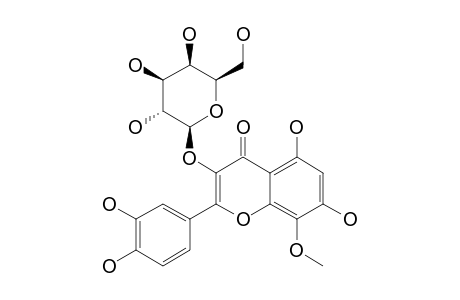 GOSSYPETIN-8-METHYLETHER-3-BETA-D-GALACTOPYRANOSIDE